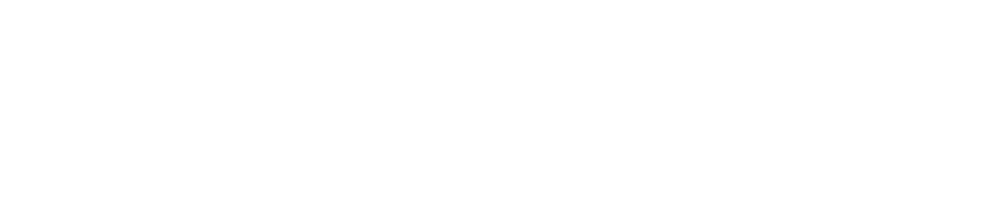 Forum DNS